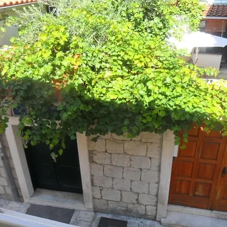 Davor - In Centre